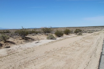 Enlarge photo 11