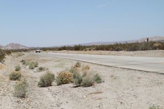 Enlarge photo 29