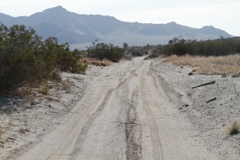 Enlarge photo 7