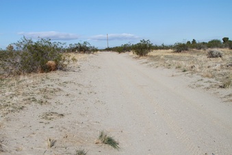 Enlarge photo 6
