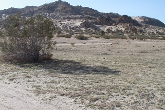 Enlarge photo 9
