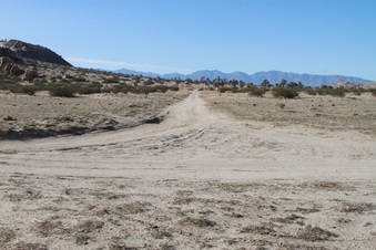 Enlarge photo 10