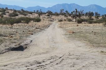 Enlarge photo 12