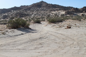 Enlarge photo 14