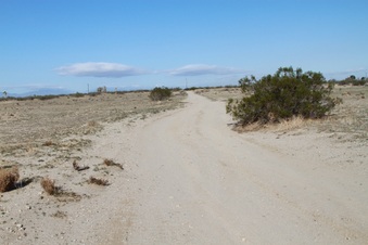 Enlarge photo 16