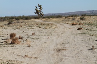 Enlarge photo 21