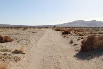 Enlarge photo 22