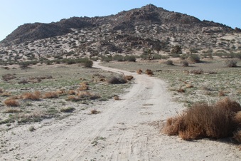 Enlarge photo 25