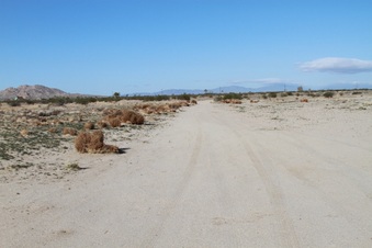 Enlarge photo 23