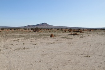 Enlarge photo 24