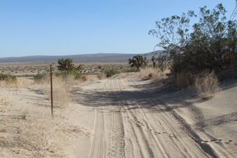 Enlarge photo 27