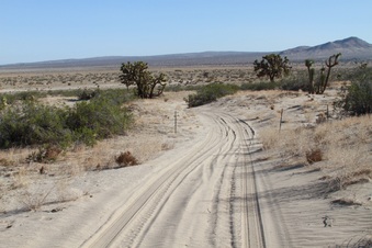 Enlarge photo 26