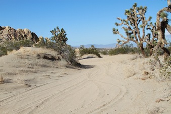 Enlarge photo 28