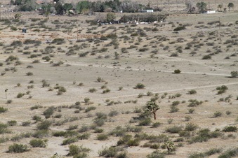 Enlarge photo 30