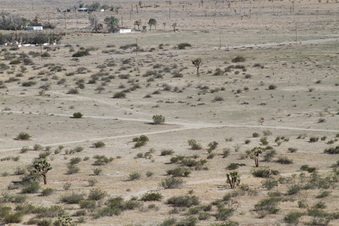 Enlarge photo 31