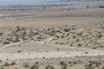 Enlarge photo 32