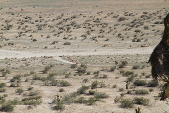 Enlarge photo 33
