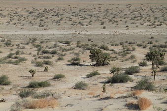 Enlarge photo 34
