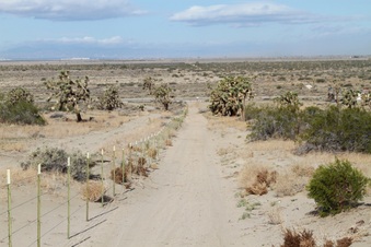Enlarge photo 2