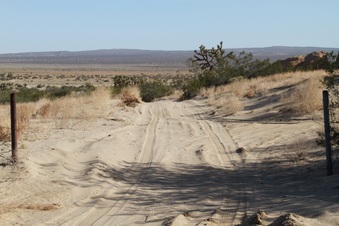 Enlarge photo 5