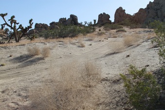 Enlarge photo 6