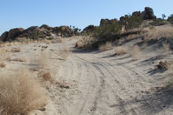 Enlarge photo 7