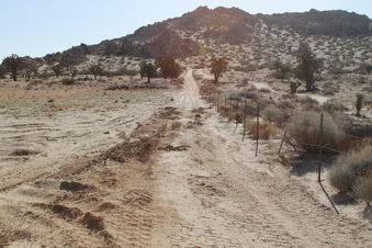 Enlarge photo 11
