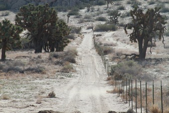 Enlarge photo 12