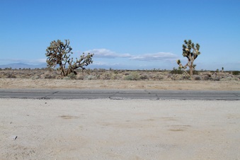 Enlarge photo 14