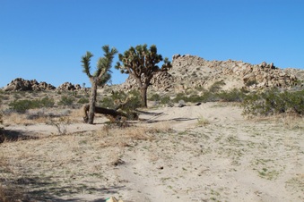 Enlarge photo 18