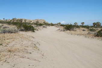Enlarge photo 19