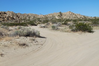 Enlarge photo 21