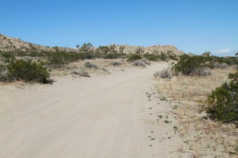 Enlarge photo 22