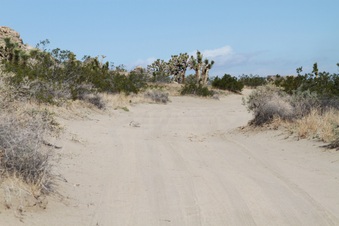 Enlarge photo 23