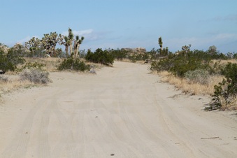 Enlarge photo 24