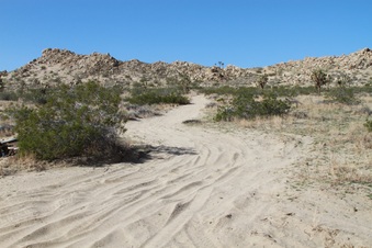 Enlarge photo 25