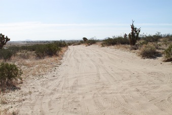 Enlarge photo 27