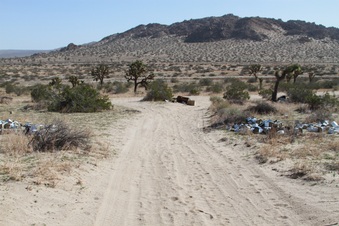 Enlarge photo 29