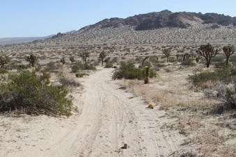 Enlarge photo 30