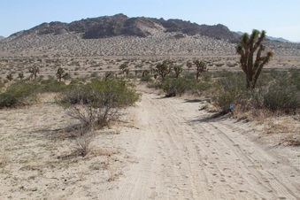 Enlarge photo 31