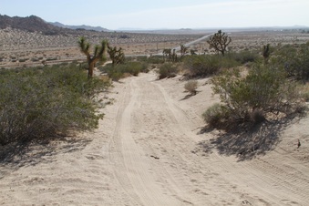 Enlarge photo 36