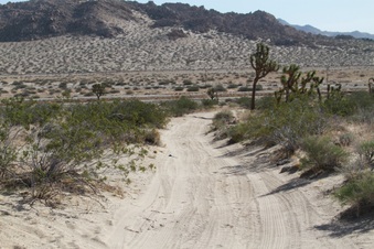 Enlarge photo 38