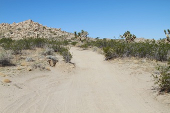 Enlarge photo 39