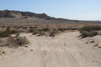 Enlarge photo 42