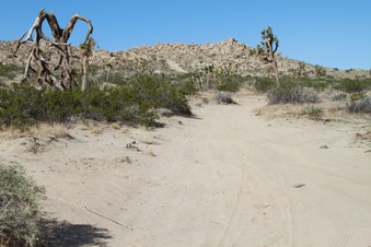 Enlarge photo 43