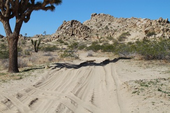 Enlarge photo 44
