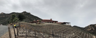 Enlarge photo 5