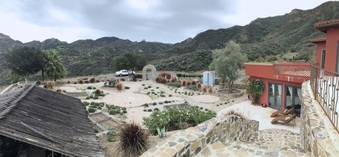 Enlarge photo 61