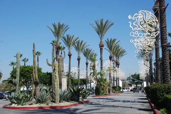 Enlarge photo 17