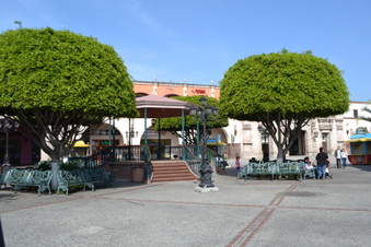 Enlarge photo 6
